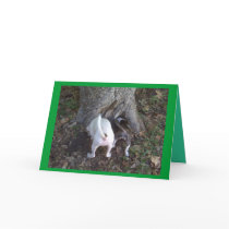 desperately seeking SANTA! cards by holycrocodile desperately seeking SANTA! cards