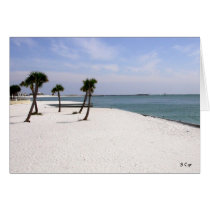 Destin Beauty, S Cyr cards by CyrScenes Destin Beauty, S Cyr cards