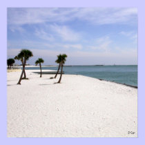 Destin Beauty, S Cyr posters