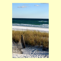 Destin Dreaming Poster, S Cyr posters