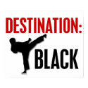 Destination Black 1 posters