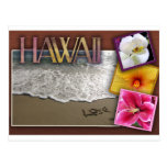 Destination wedding - Hawaii Post Cards