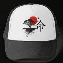 Destiny hats