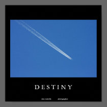 Destiny posters