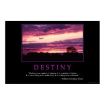 Destiny posters
