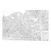 Destrahan Plantation Store posters