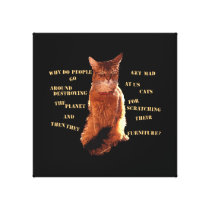 Destroy! Somali Cat Stretched Canvas canvas prints