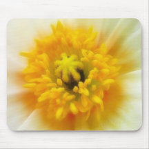 Detail - Iceland Poppy Mouse Pads