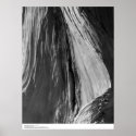Detail of Bristlecone Pine Wood, 1964 Print