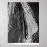 Detail of Bristlecone Pine Wood, 1964 posters