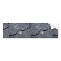 Detail of cracked lava, Bartolome Island, Galapago Bumper Sticker