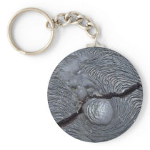 Detail of cracked lava, Bartolome Island, Galapago Keychains