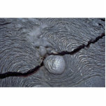 Detail of cracked lava, Bartolome Island, Galapago Photo Cut Out