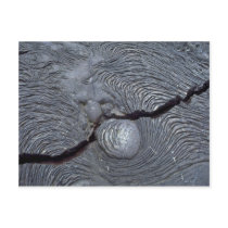 Detail of cracked lava, Bartolome Island, Galapago Postcards