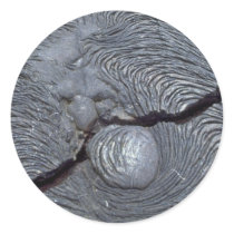 Detail of cracked lava, Bartolome Island, Galapago Round Stickers