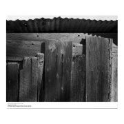 Detail of Fence, UC Santa Cruz, 1963 print