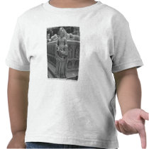 Detail of Fortitude Tee Shirt