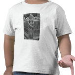 Detail of Fortitude t-shirts