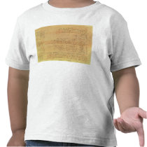 Detail of the Rhind Mathematical Papyrus Tee Shirts