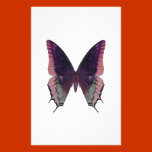 Detailed Butterfly Pink stationery