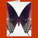 Detailed Butterfly Pink Greeting Card cards