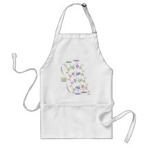 Detailed Diagram of the Chemical structure of DNA Aprons