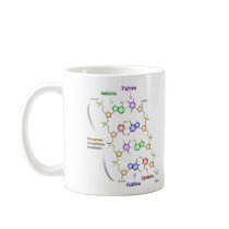 Detailed Diagram of the Chemical structure of DNA Coffee Mugs