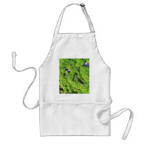 Detailed Photo Of Green Moss aprons