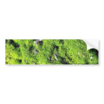 Detailed Photo Of Green Moss bumper stickers by lifesphere Detailed Photo Of Green Moss bumper stickers