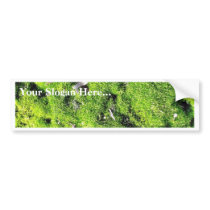 Detailed Photo Of Green Moss bumper stickers by lifesphere Detailed Photo Of Green Moss bumper stickers