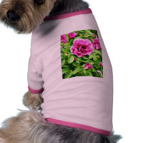 Detailed Photo Of Rose Flower pet clothing