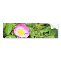 Detailed Photo Of Wild Rose bumper stickers by lifesphere Detailed Photo Of Wild Rose bumper stickers