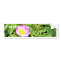 Detailed Photo Of Wild Rose bumper stickers by lifesphere Detailed Photo Of Wild Rose bumper stickers