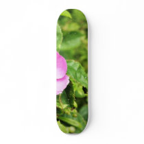 Detailed Photo Of Wild Rose skateboards