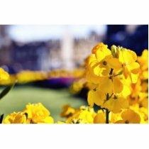 Detailed Picture Of A Yellow Flower With The Town photo sculptures