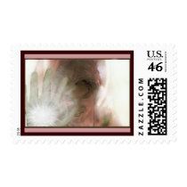 determination 2 postcard stamp