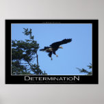 DETERMINATION ~ Motivational Poster