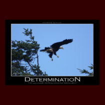 DETERMINATION ~ Motivational Poster posters