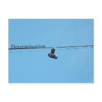 Determination postcards by crystalgillis Determination postcards