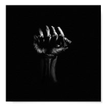 Determination posters by AndroosArt Determination posters