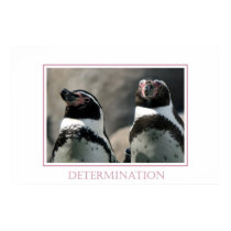 Determination posters by ImagesbyKelly Determination posters