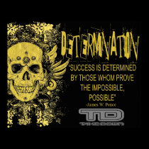 determination posters