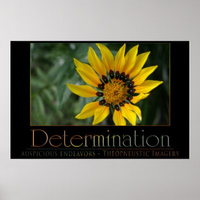 Determination Posters