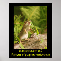 Determined Chipmunk Poster