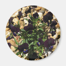 Determined to Survive ~ Viola Flowers Refrigerator Magnet
