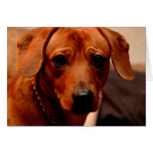 deuce greeting cards