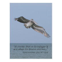 Deuteronomio 33:27 Tarjeta Postal Post Card