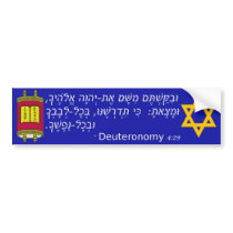 Deuteronomy 4:29 Jewish Torah Bumper Sticker