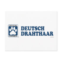 Deutsch Drahthaar Blue postcards by GenuineDogOwner Deutsch Drahthaar Blue postcards