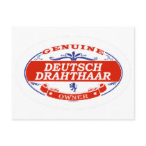 Deutsch Drahthaar postcards by GenuineDogOwner Deutsch Drahthaar postcards